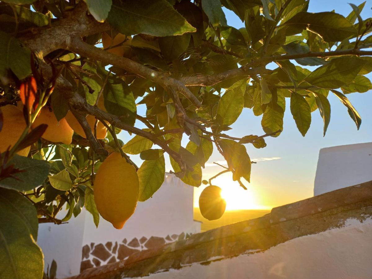 Casa Dona Antonia - Monsaraz Bed and Breakfast Εξωτερικό φωτογραφία